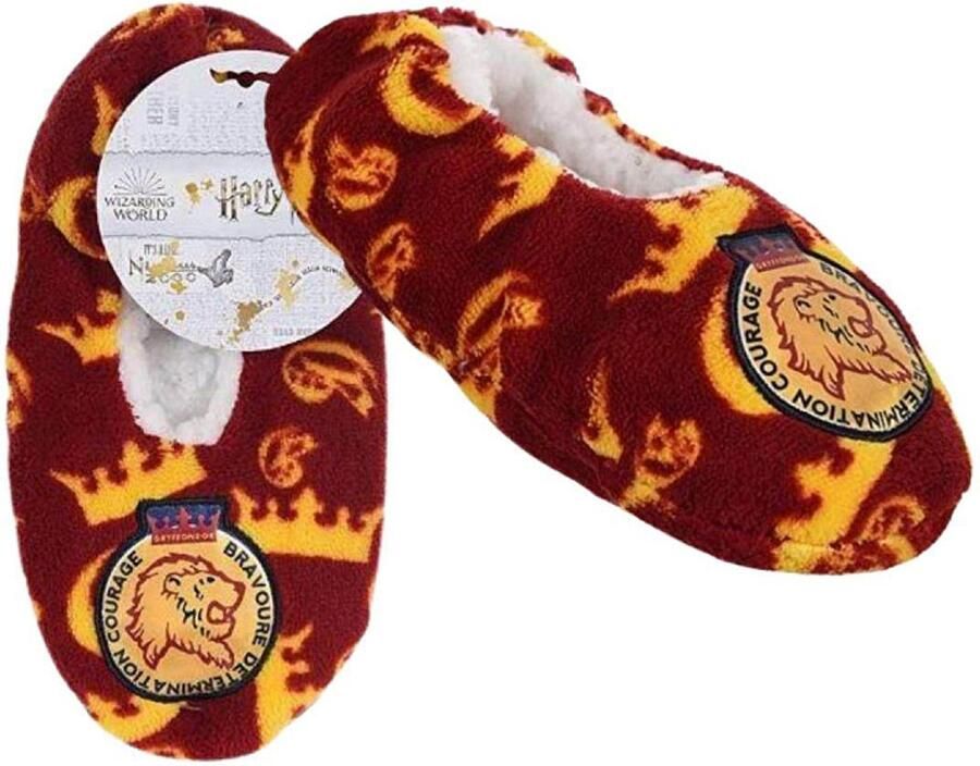 Harry Potter winterpantoffels voor kinderen