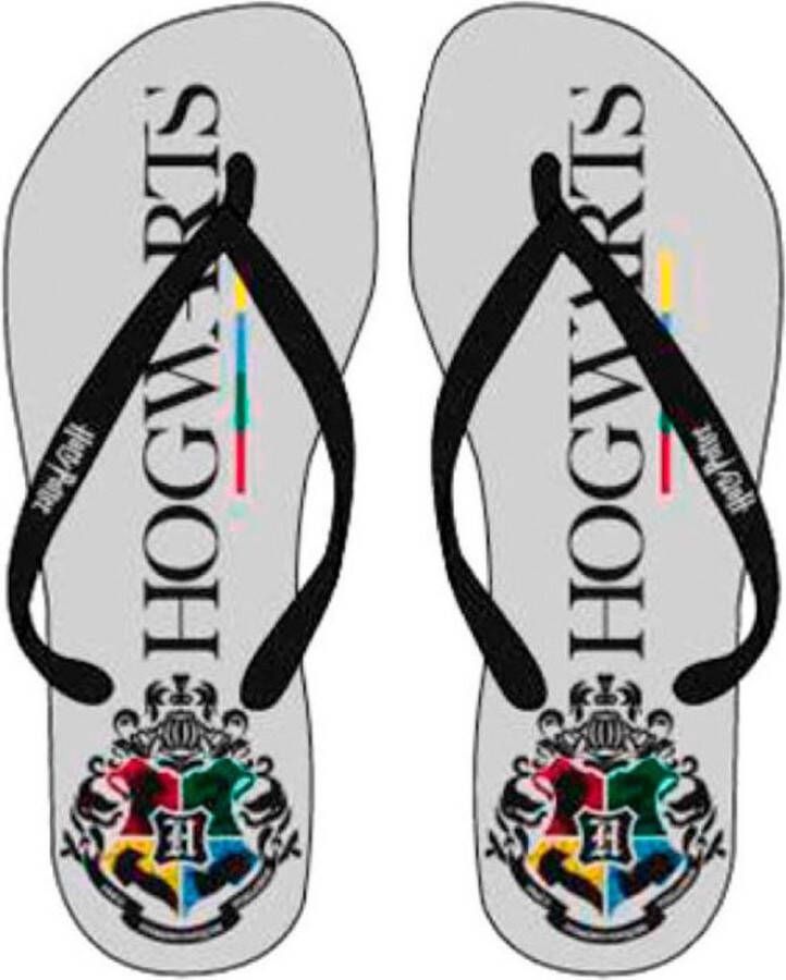 Harry Potter -Hogwarts -slippers