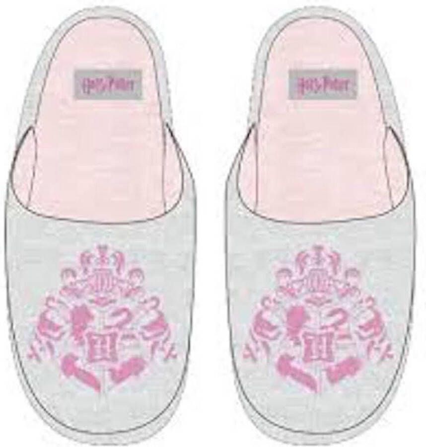 Harry Potter Slippers Slippers From Size