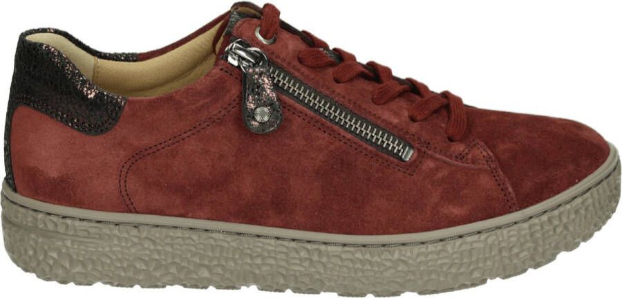 Hartjes Dames Veterschoenen 162.1401 3480.10 Phil Shoe Aubergine