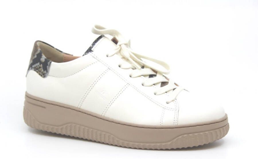 Hartjes BOOGIE SHOE Wijdte H