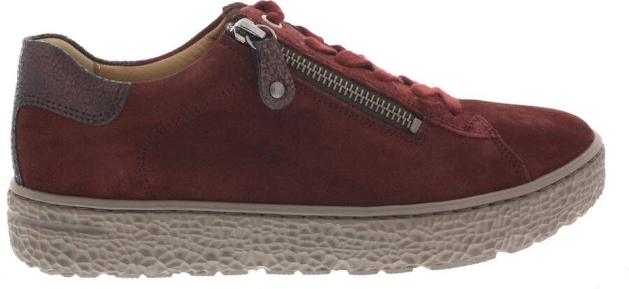Hartjes Dames Veterschoenen 162.1401 3480.10 Phil Shoe Aubergine
