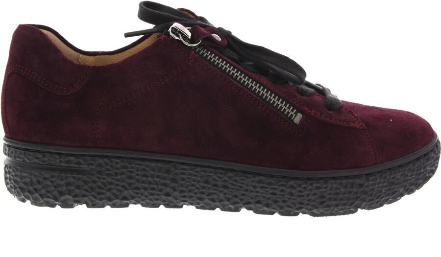 HARTJES Lage Sneakers Dames 162.1401 Phil Suède Bordeaux