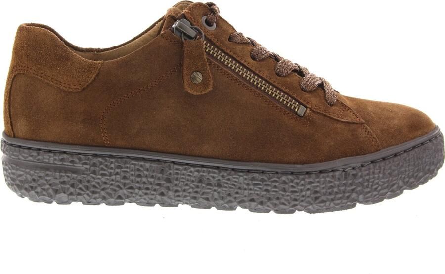 HARTJES Lage Sneakers Dames 162.1401 Phil Suède Bruin