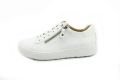 Hartjes Phil 1409 - Wit