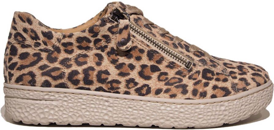 Hartjes Phil Shoe Beige