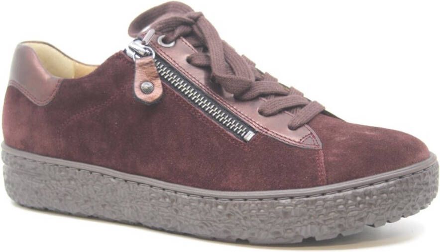 Hartjes Phil 162.1431 aubergine