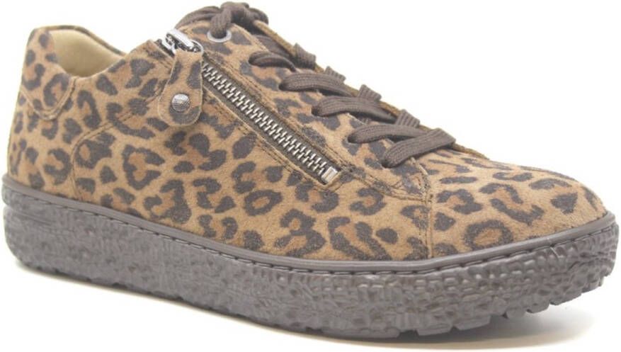 Hartjes Phil 162.1401 leo multi bruin