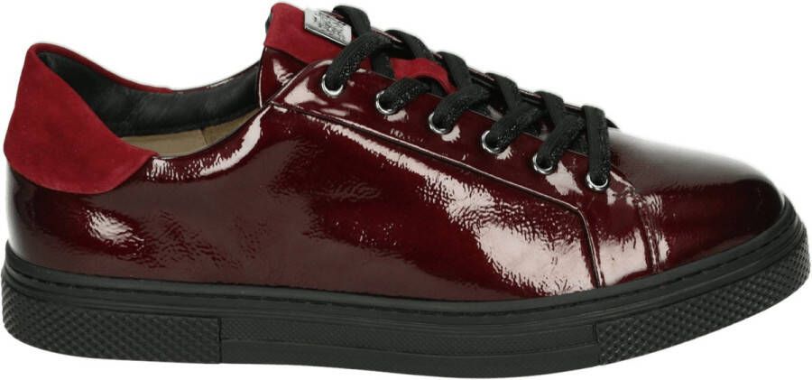 Hassi-A Hassia 301025 Lage sneakersDames sneakers Bruin