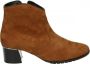Hassi-A Hassia 306952~~~~~~~~~~~~~~~~~~~~~~~~ Laarsjes Cognac - Thumbnail 1