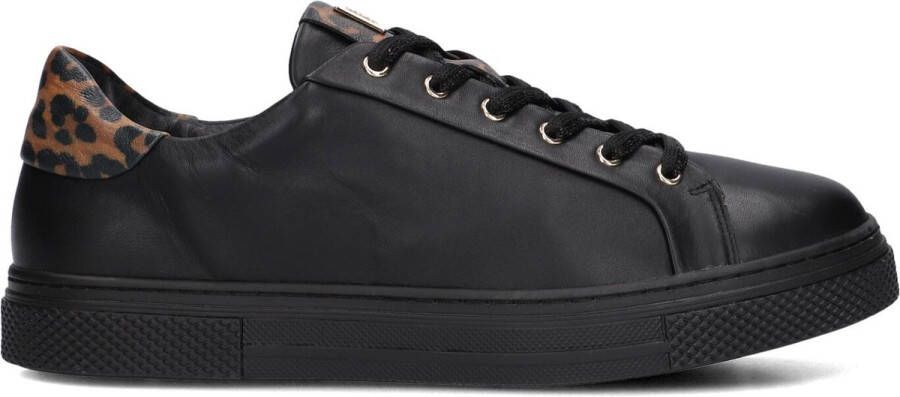 HASSIA Lage Sneakers Dames Asti Maat: 38 Materiaal: Leer Kleur: Zwart