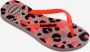 Havaianas KIDS SLIM GLITTER TRENDY Zwart Oranje Unisex Slippers - Thumbnail 4