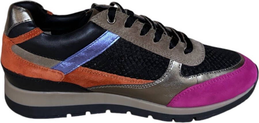 Helioform Combi Zwart fucsia brons blauw H sneaker Kleur Zwart)