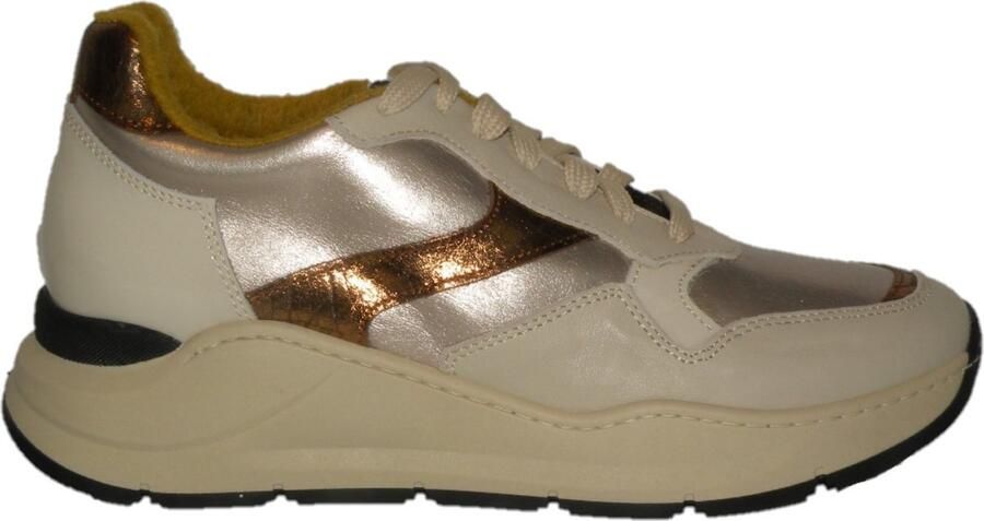 Hip shoe style D1238 Sneakers