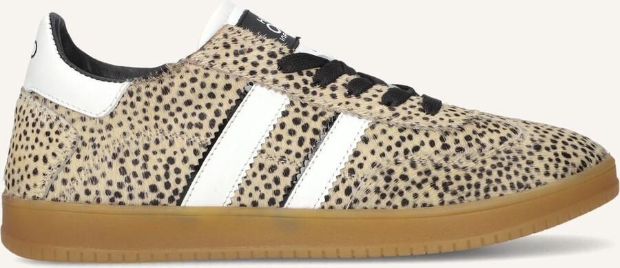 Hip H1500 Sneakers Meisjes Leren Sneaker Beige - Foto 2