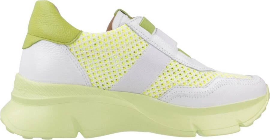 Hispanitas CERVO-V24 Groen