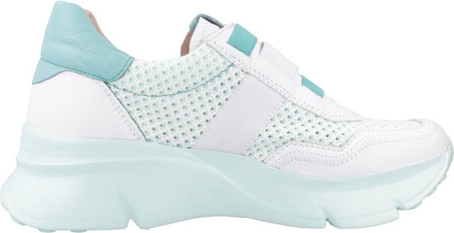Hispanitas CERVO-V24 Groen