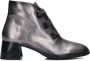 Hispanitas Stijlvolle Enkellaars Micheldorf Gray Dames - Thumbnail 1