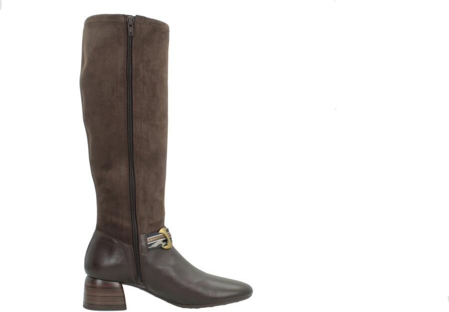 Hispanitas HI264962 VARSOVIA Bruin