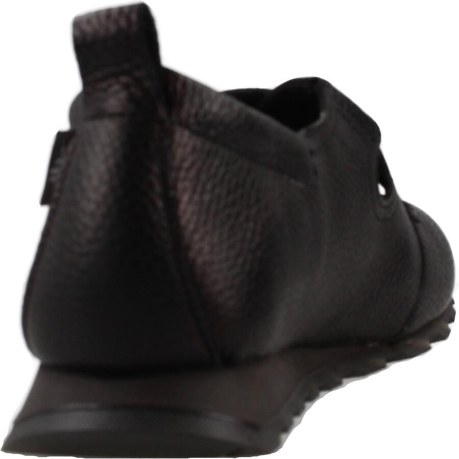 Hispanitas Ballerina's Hi265077 Zinnia