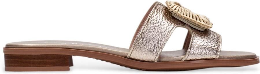 Hispanitas Pumps damessandalen HV253881 Jakarta - Foto 2