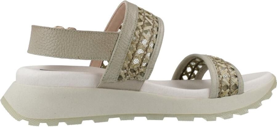 Hispanitas RHV264714 Groen
