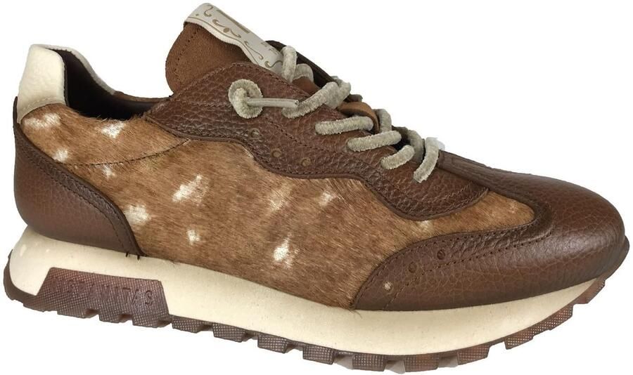 Hispanitas Leren sneakers Oregon