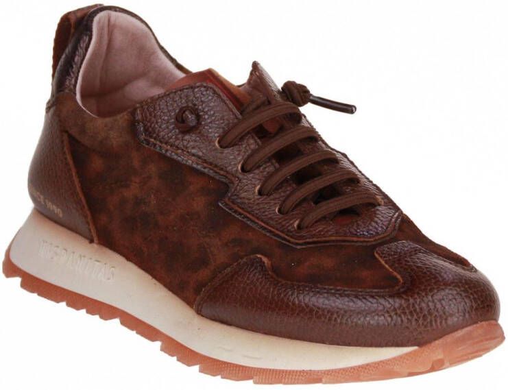 Hispanitas Kansas Sneaker Bruin Leopard