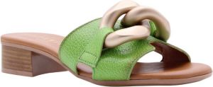 Hispanitas Muiltje Groen Dames