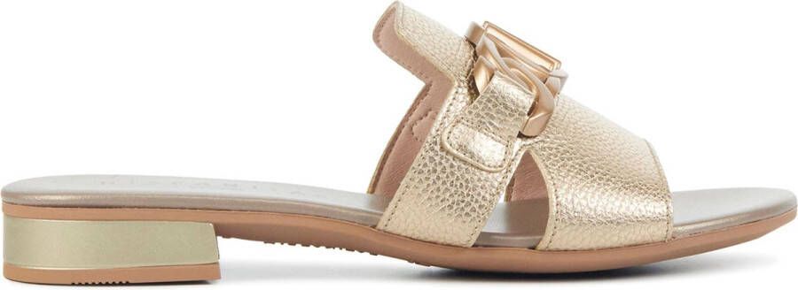 HISPANITAS Slippers Dames Hv243268 Maat: 36 Materiaal: Leer Kleur: Goud