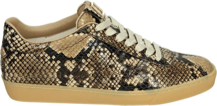 Hogl 100317 SAM Lage sneakersDames sneakers Bruin