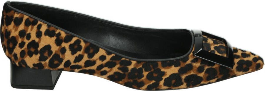Högl Multicolor Business Schoenen voor Vrouwen Multicolor Dames