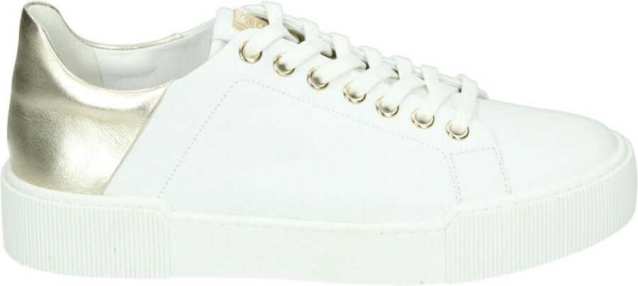 Hogl 103601~~~~~~~~~~~~~~~~~~~~~~~~ Lage sneakersDames sneakers Wit beige