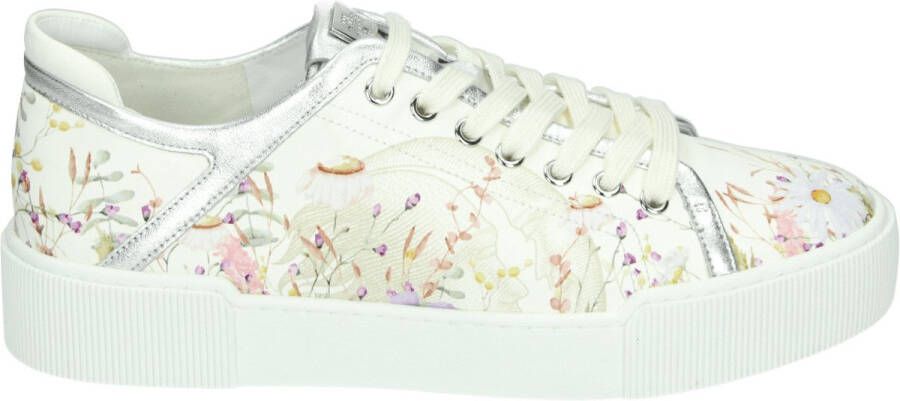 Hogl 103679~~~~~~~~~~~~~~~~~~~~~~~~ Lage sneakersDames sneakers Wit beige