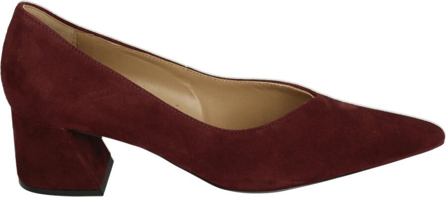 Hogl 104502 Pumps Bruin
