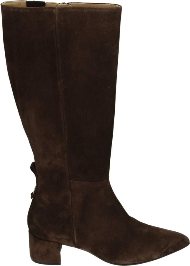 Hogl 104722 Lange laarzen Dames laarzen Bruin