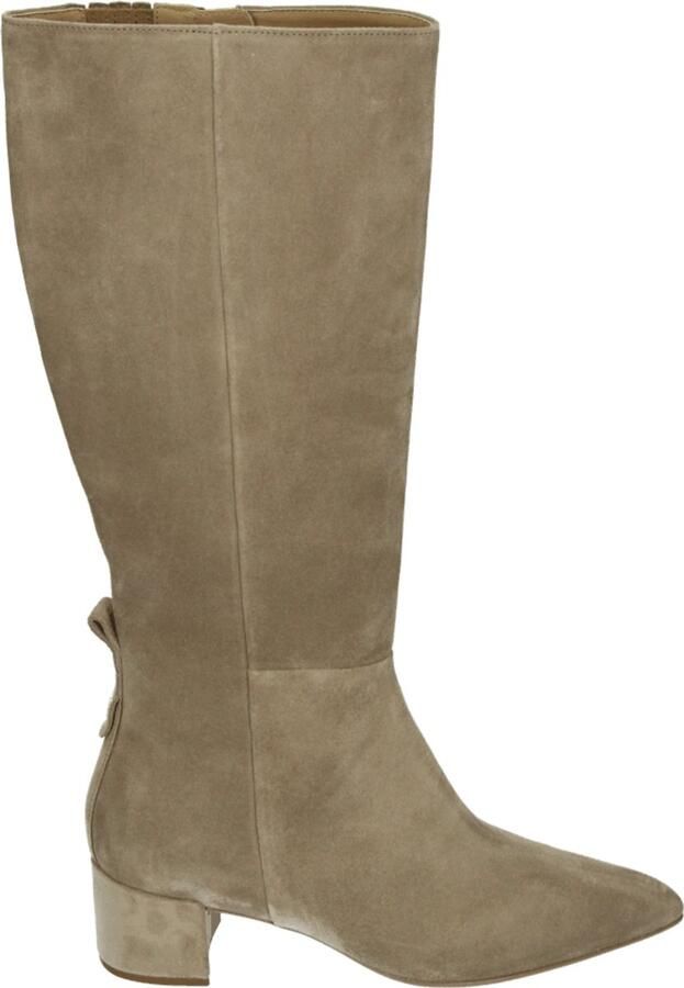 Hogl 104722 Lange laarzen Dames laarzen Taupe