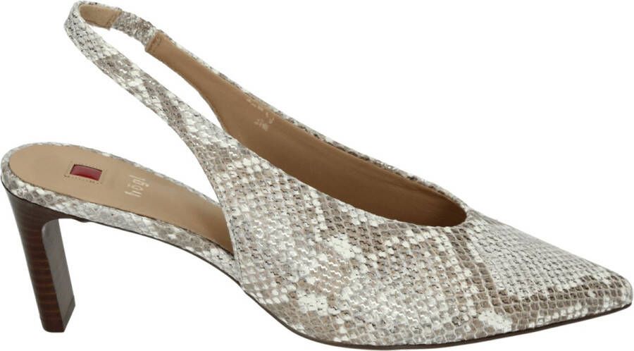 Hogl 106817~~~~~~~~~~~~~~~~~~~~~~~~ Pumps Bruin