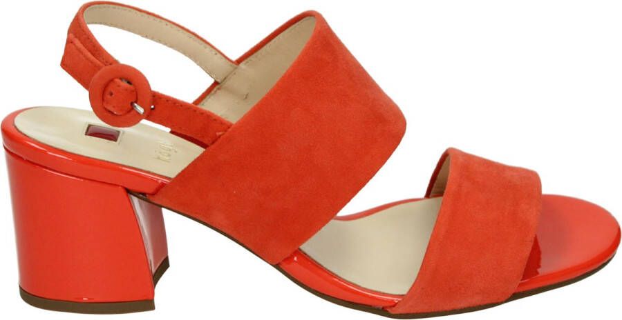 Hogl Högl 9-10 5542-4200 dames sandaal oranje