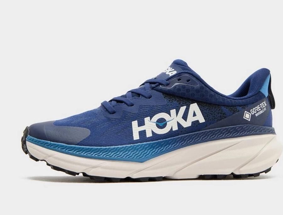 HOKA Challenger 7 GORE-TEX Blauw- Heren Blauw