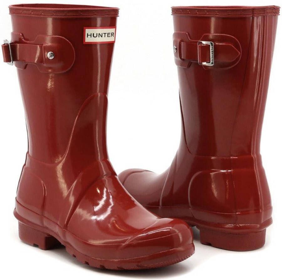 Hunter WFS1000RGL