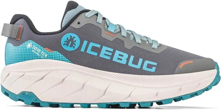 ICEBUG Arc Rb9x Gore-tex Wandelschoenen Grijs Man