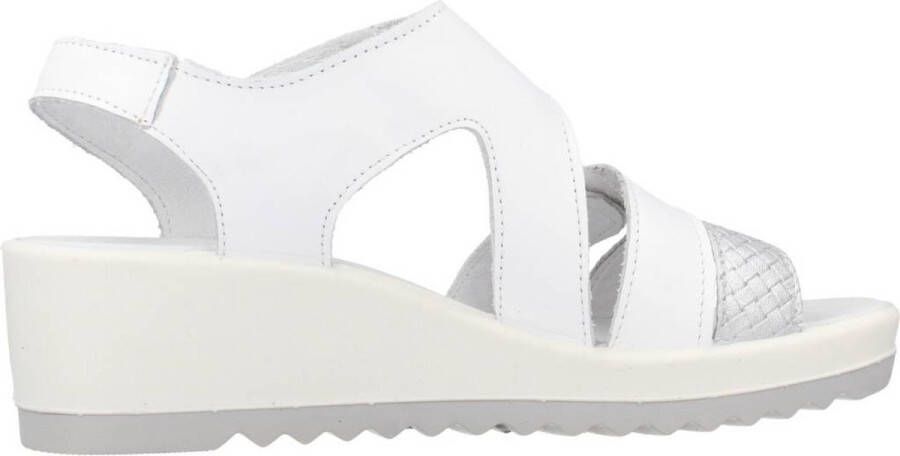 IGI&CO 3666111 Wit
