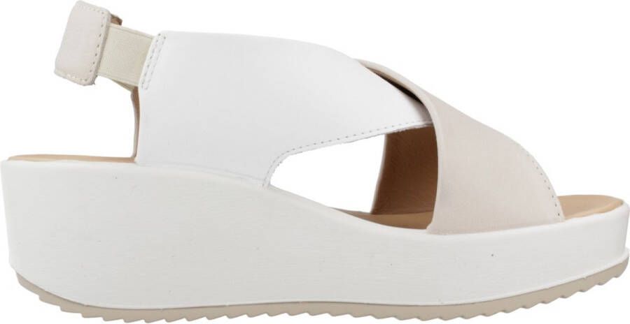 IGI&CO 5668811IG Beige