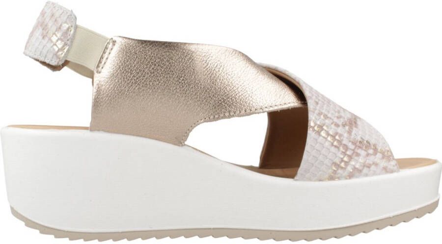 IGI&CO 7665755IG Dierlijke Dr