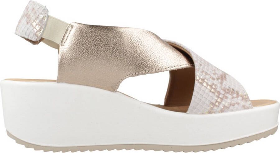 IGI&CO 7665755IG Dierlijke Dr