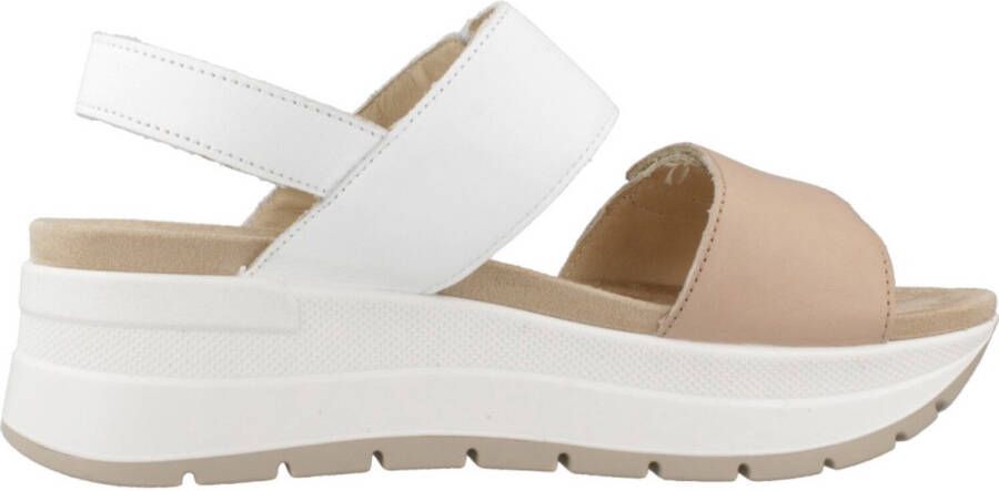 IGI&CO 7677600IG Bruin