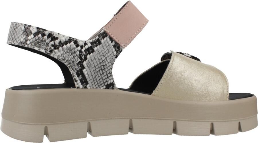 IGI&CO 1160300IG Veelkleurig