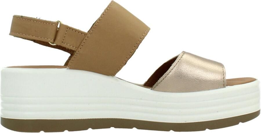 IGI&CO 1164511IG Beige