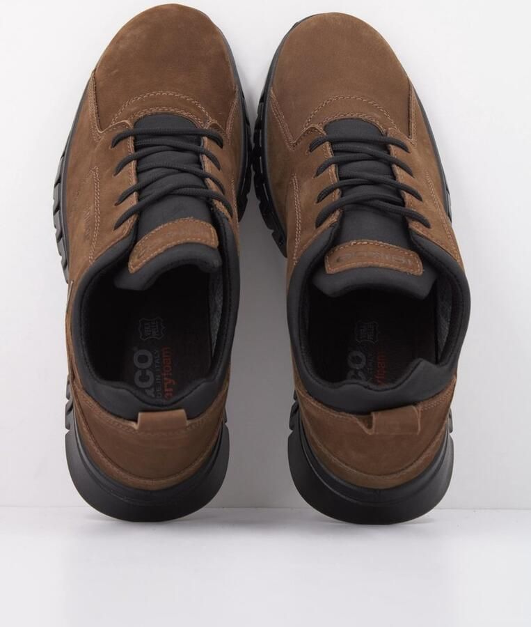 IGI&CO 2116233IG Bruin